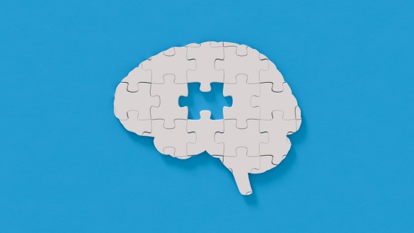 jigsaw brain.jpg